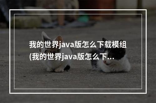 我的世界java版怎么下载模组(我的世界java版怎么下载模组手机版)