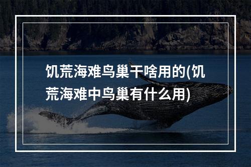 饥荒海难鸟巢干啥用的(饥荒海难中鸟巢有什么用)