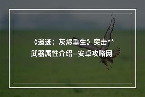 《遗迹：灰烬重生》突击**武器属性介绍--安卓攻略网