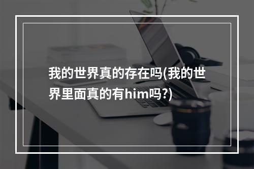 我的世界真的存在吗(我的世界里面真的有him吗?)