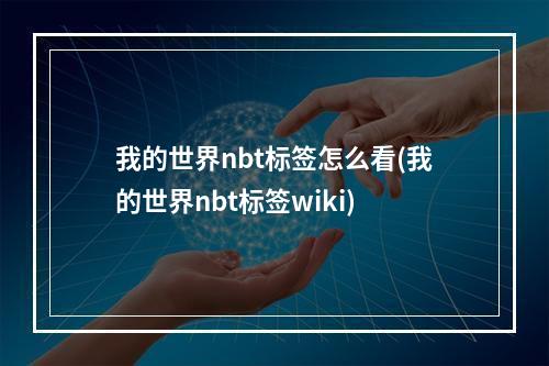 我的世界nbt标签怎么看(我的世界nbt标签wiki)