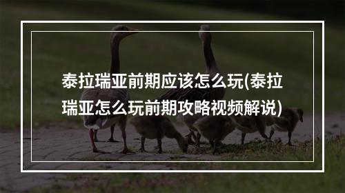 泰拉瑞亚前期应该怎么玩(泰拉瑞亚怎么玩前期攻略视频解说)