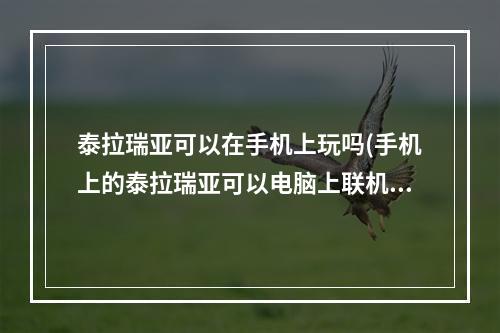 泰拉瑞亚可以在手机上玩吗(手机上的泰拉瑞亚可以电脑上联机吗)