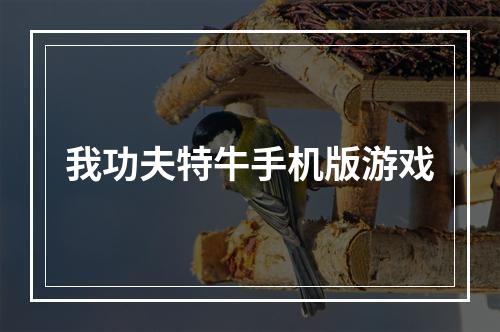 我功夫特牛手机版游戏