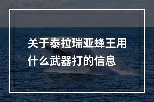 关于泰拉瑞亚蜂王用什么武器打的信息