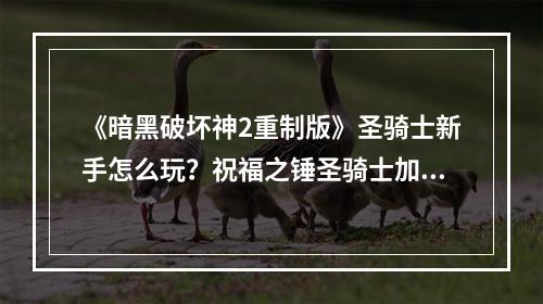 《暗黑破坏神2重制版》圣骑士新手怎么玩？祝福之锤圣骑士加点推荐--安卓攻略网