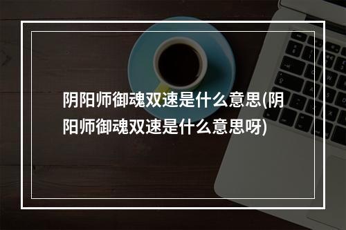 阴阳师御魂双速是什么意思(阴阳师御魂双速是什么意思呀)