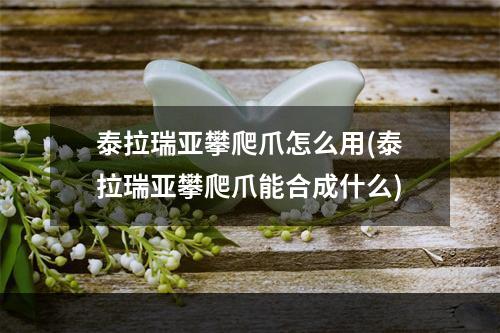 泰拉瑞亚攀爬爪怎么用(泰拉瑞亚攀爬爪能合成什么)