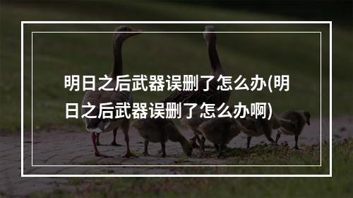 明日之后武器误删了怎么办(明日之后武器误删了怎么办啊)