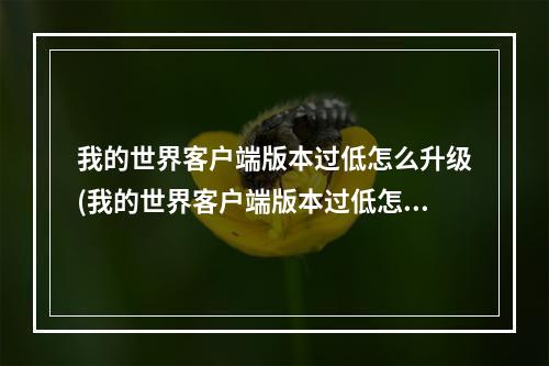 我的世界客户端版本过低怎么升级(我的世界客户端版本过低怎么升级手机)