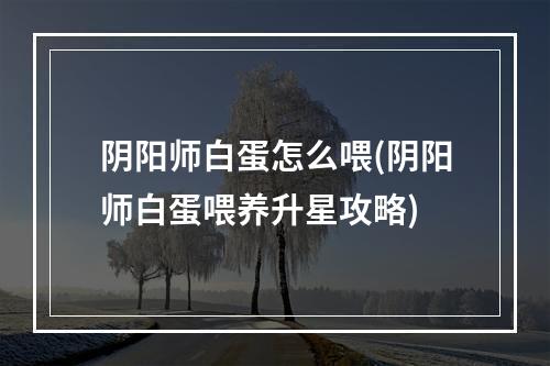 阴阳师白蛋怎么喂(阴阳师白蛋喂养升星攻略)