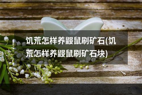 饥荒怎样养鼹鼠刷矿石(饥荒怎样养鼹鼠刷矿石块)