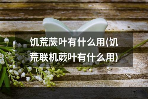 饥荒蕨叶有什么用(饥荒联机蕨叶有什么用)