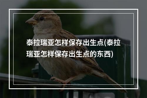 泰拉瑞亚怎样保存出生点(泰拉瑞亚怎样保存出生点的东西)