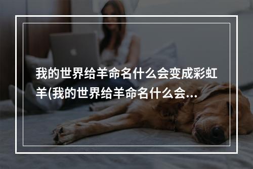 我的世界给羊命名什么会变成彩虹羊(我的世界给羊命名什么会变成彩虹羊呢)