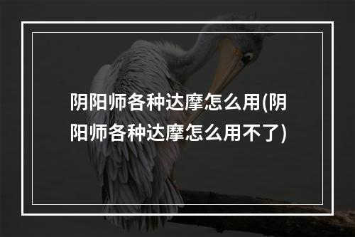 阴阳师各种达摩怎么用(阴阳师各种达摩怎么用不了)