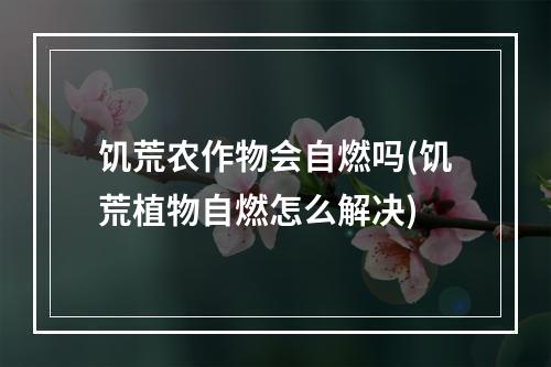 饥荒农作物会自燃吗(饥荒植物自燃怎么解决)