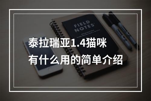 泰拉瑞亚1.4猫咪有什么用的简单介绍