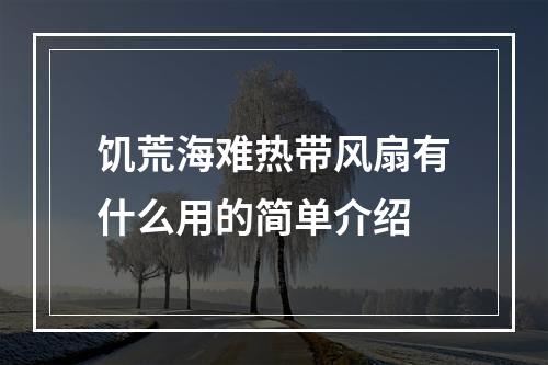 饥荒海难热带风扇有什么用的简单介绍