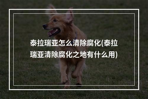 泰拉瑞亚怎么清除腐化(泰拉瑞亚清除腐化之地有什么用)