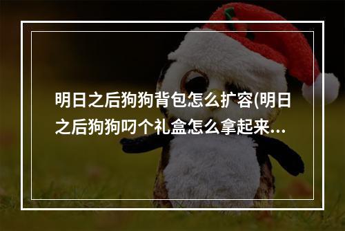 明日之后狗狗背包怎么扩容(明日之后狗狗叼个礼盒怎么拿起来)