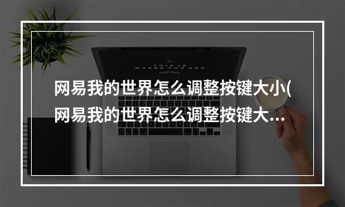 网易我的世界怎么调整按键大小(网易我的世界怎么调整按键大小啊)