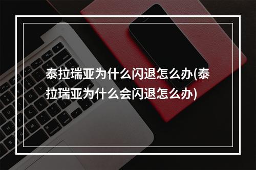 泰拉瑞亚为什么闪退怎么办(泰拉瑞亚为什么会闪退怎么办)