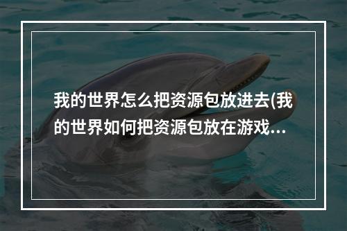 我的世界怎么把资源包放进去(我的世界如何把资源包放在游戏里)