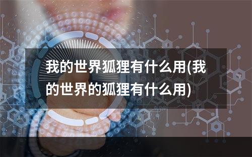 我的世界狐狸有什么用(我的世界的狐狸有什么用)