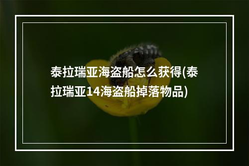 泰拉瑞亚海盗船怎么获得(泰拉瑞亚14海盗船掉落物品)