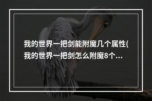 我的世界一把剑能附魔几个属性(我的世界一把剑怎么附魔8个属性)