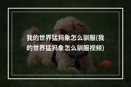 我的世界猛犸象怎么驯服(我的世界猛犸象怎么驯服视频)