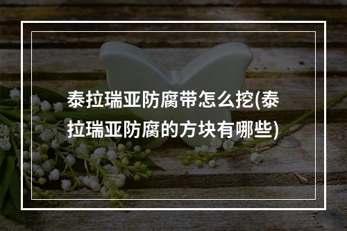 泰拉瑞亚防腐带怎么挖(泰拉瑞亚防腐的方块有哪些)