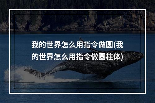 我的世界怎么用指令做圆(我的世界怎么用指令做圆柱体)