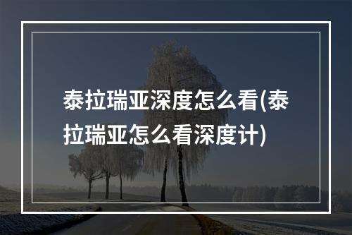 泰拉瑞亚深度怎么看(泰拉瑞亚怎么看深度计)