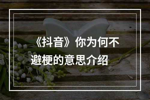 《抖音》你为何不避梗的意思介绍