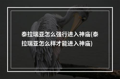 泰拉瑞亚怎么强行进入神庙(泰拉瑞亚怎么样才能进入神庙)