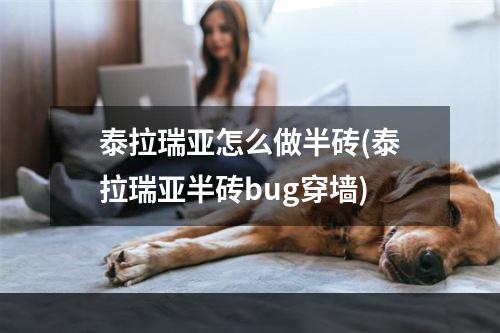 泰拉瑞亚怎么做半砖(泰拉瑞亚半砖bug穿墙)