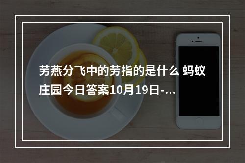 劳燕分飞中的劳指的是什么 蚂蚁庄园今日答案10月19日--游戏攻略网