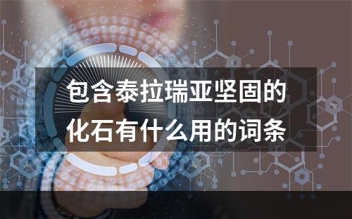 包含泰拉瑞亚坚固的化石有什么用的词条