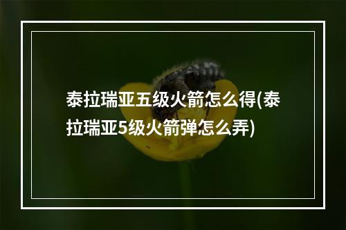 泰拉瑞亚五级火箭怎么得(泰拉瑞亚5级火箭弹怎么弄)