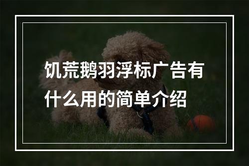 饥荒鹅羽浮标广告有什么用的简单介绍