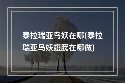 泰拉瑞亚鸟妖在哪(泰拉瑞亚鸟妖翅膀在哪做)