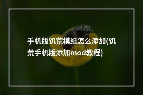 手机版饥荒模组怎么添加(饥荒手机版添加mod教程)