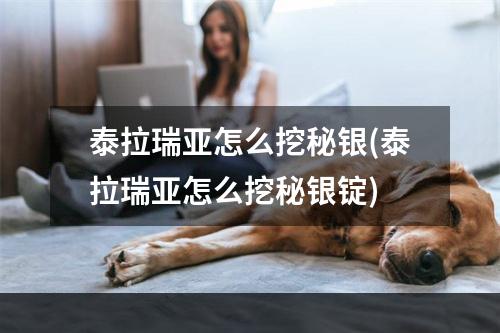 泰拉瑞亚怎么挖秘银(泰拉瑞亚怎么挖秘银锭)