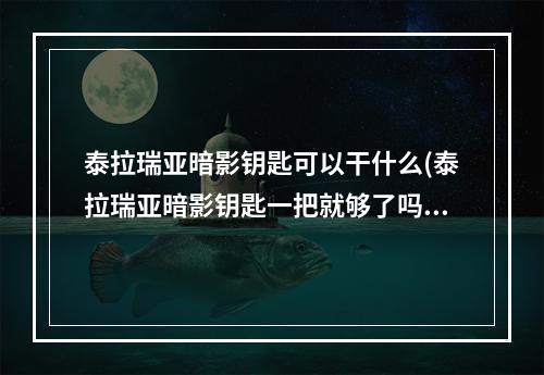 泰拉瑞亚暗影钥匙可以干什么(泰拉瑞亚暗影钥匙一把就够了吗)