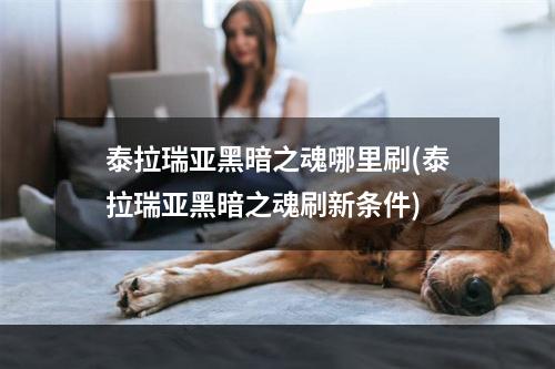 泰拉瑞亚黑暗之魂哪里刷(泰拉瑞亚黑暗之魂刷新条件)