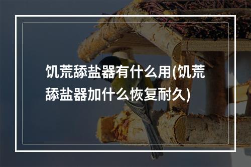 饥荒舔盐器有什么用(饥荒舔盐器加什么恢复耐久)