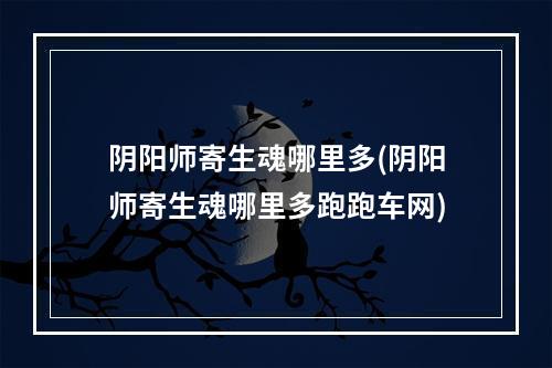 阴阳师寄生魂哪里多(阴阳师寄生魂哪里多跑跑车网)