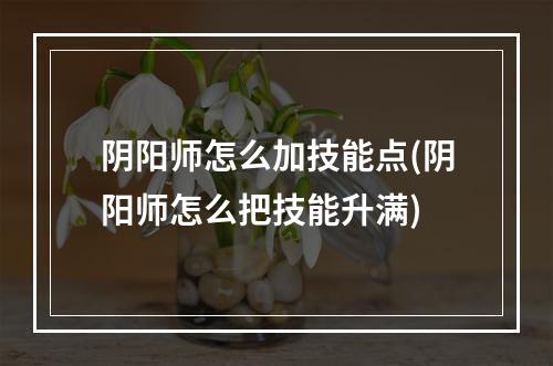 阴阳师怎么加技能点(阴阳师怎么把技能升满)